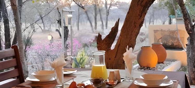 短尾鹫帐篷狩猎小屋布什水疗酒店(Bateleur Tented Safari Lodge and Bush Spa)图片
