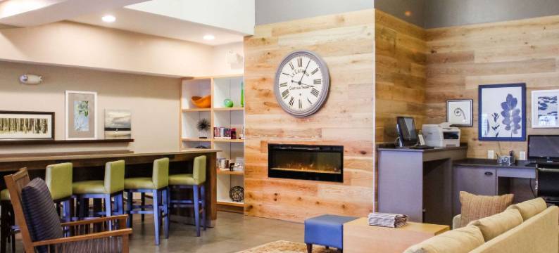 切斯特丽怡酒店(Country Inn & Suites by Radisson, Chester, VA)图片