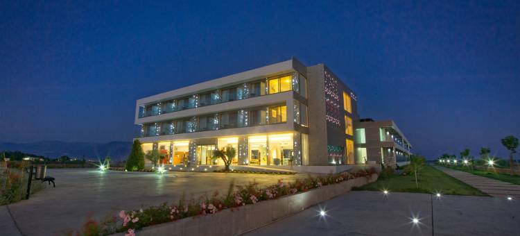 布卡海滩酒店(Buca Beach Resort)图片