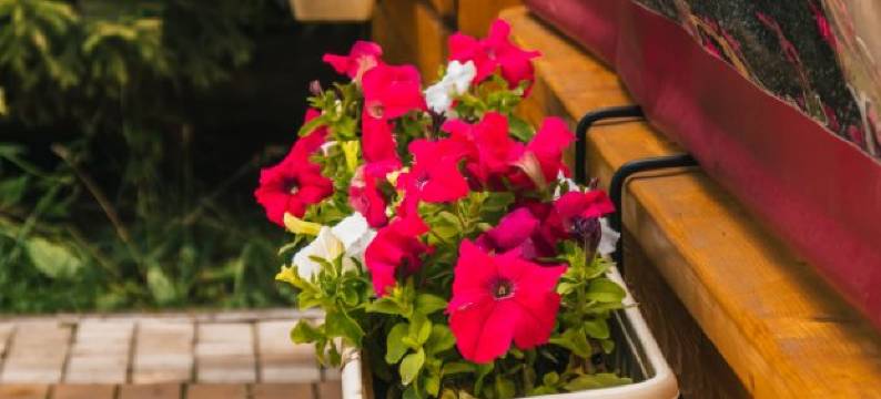 普赖德酒店(Pride-Hotel)图片