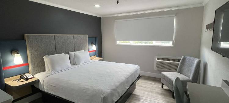 中城酒店 - 贝斯特韦斯特 SureStay 精选酒店(The Midtowner Hotel, SureStay Collection by Best Western)图片