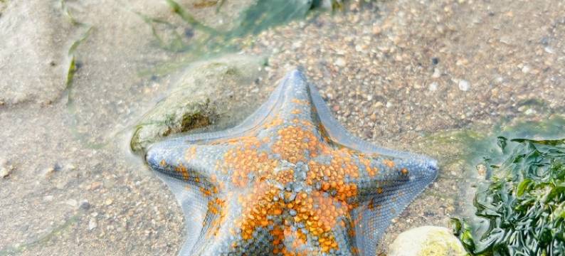 庞玲公寓(文昌里分店)图片