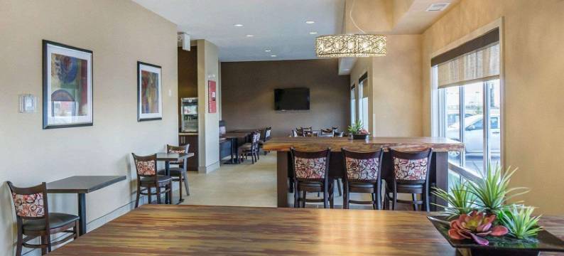 舒适套房酒店-埃德蒙顿国际机场(Comfort Inn & Suites Edmonton International Airport)图片