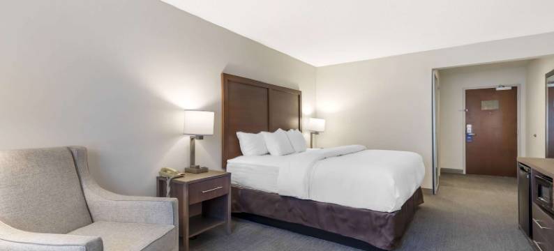 切斯特顿舒适套房酒店(Comfort Inn & Suites Chestertown)图片