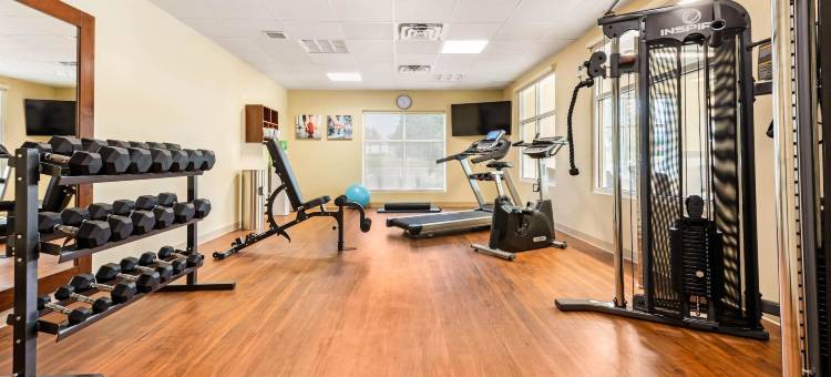 舒适套房酒店(Comfort Inn & Suites)图片