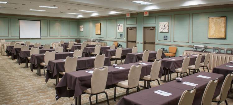 希尔顿欢朋套房酒店-新奥尔良爱姆伍德(Hampton Inn & Suites New Orleans-Elmwood/Clearview Parkway Area)图片