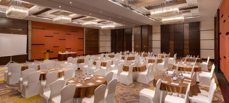 加尔各答傲世广场酒店(Pride Plaza Hotel, Kolkata)图片