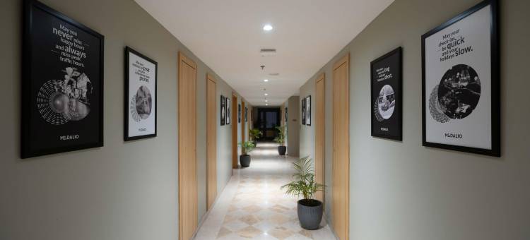 乌代布尔肖巴格普拉梅达里奥度假村(Medalio Resort Udaipur Shobhagpura)图片