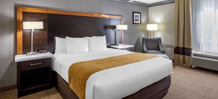 好莱坞伯班克近环球舒适套房酒店(Comfort Inn & Suites Near Universal - N Hollywood - Burbank)图片