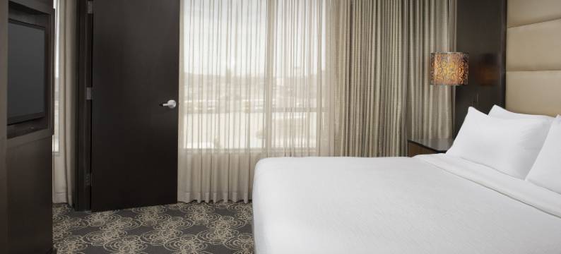 诺克斯维尔西希尔顿安泊酒店(Embassy Suites by Hilton Knoxville West)图片