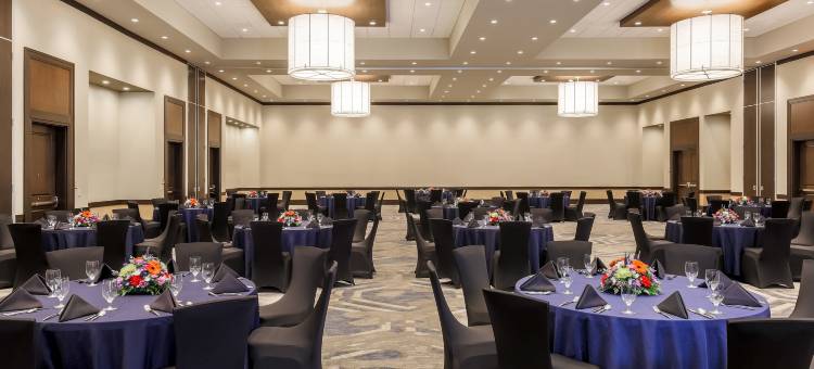 希尔顿安泊酒店-西勒鸠斯命运美国(Embassy Suites Syracuse Destiny USA)图片