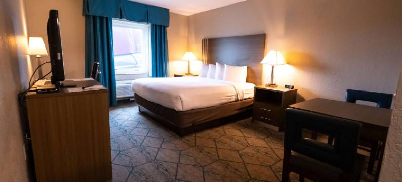 埃芬加姆呗盟套房酒店(Baymont by Wyndham Effingham)图片