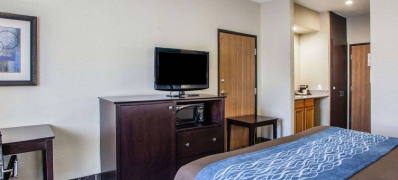 舒适酒店-利斯萨米特50号及291号高速公路(Comfort Inn Lees Summit - Hwy 50 & Hwy 291)图片