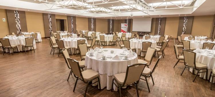 爱尔欧里瓦索尼斯塔酒店(Sonesta Hotel El Olivar Lima)图片