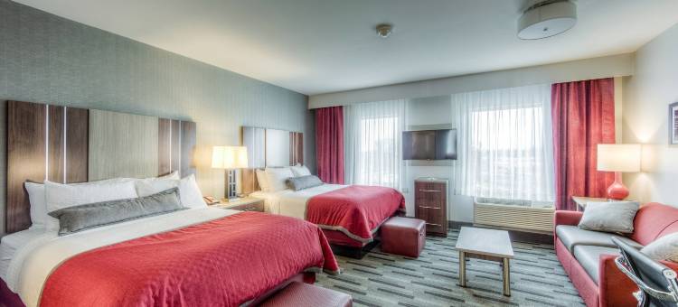 Staybridge Suites 哥伦布大学区 - OSU by IHG(Staybridge Suites Columbus OSU-Medical Center)图片