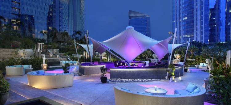 丽思卡尔顿酒店雅加达太古广场公寓(The Residences at The Ritz-Carlton Jakarta, Pacific Place)图片