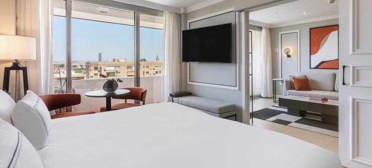 塞维利亚美利亚等级酒店(The Level at Meliá Sevilla)图片