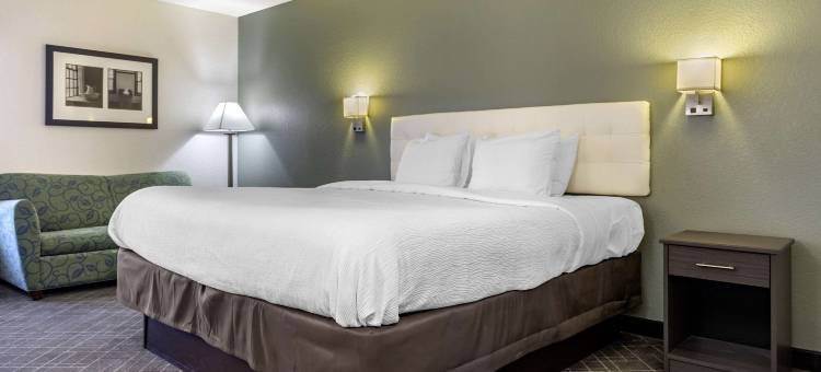 品质旅舍(Quality Inn)图片