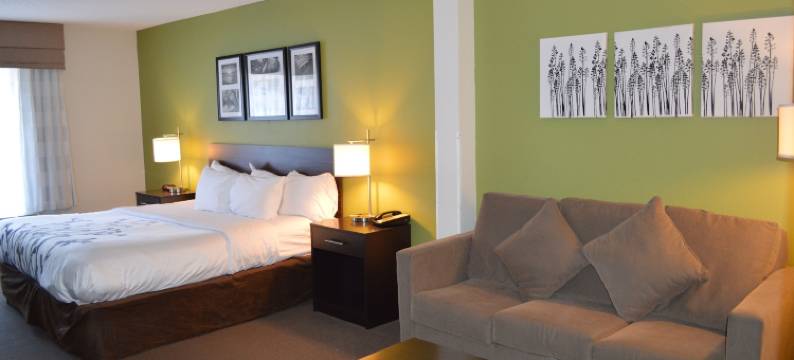 弗吉尼亚州霍斯中心舒眠套房酒店(Sleep Inn & Suites Virginia Horse Center)图片