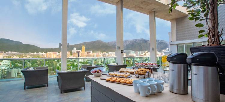 圣地亚哥比塔库拉凯悦嘉轩酒店(Hyatt Place Santiago/Vitacura)图片