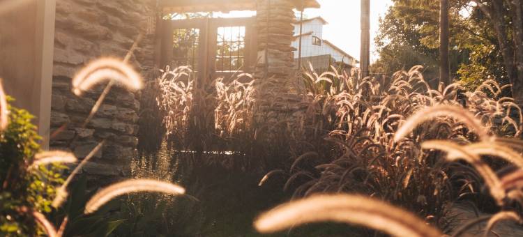 Vila Cerrado (维拉塞拉多)(Vila Cerrado)图片