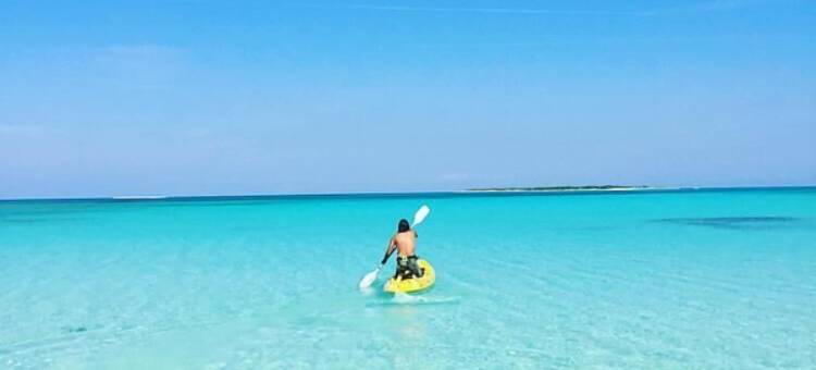 套房人生(The Suite Life)图片