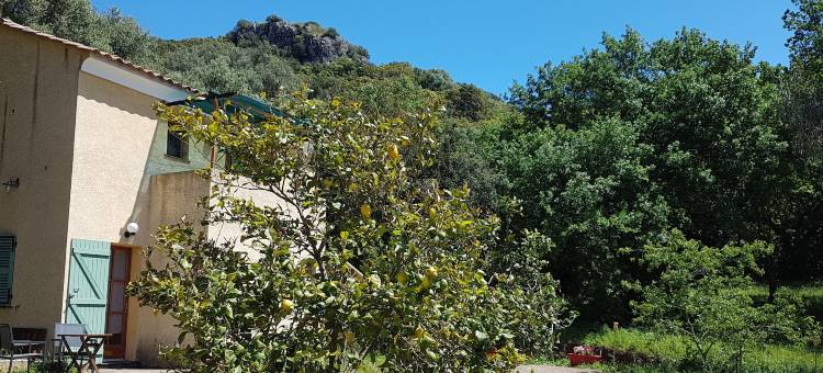 艾利沃家庭旅馆(A Casa di l'Alivu)图片