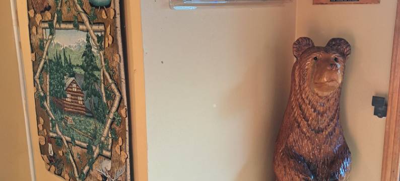 木匠乡村旅馆(The Woodsman Country Lodge)图片