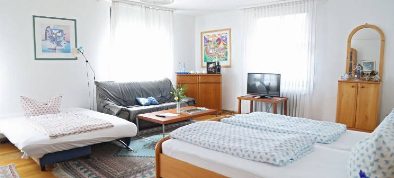 阿德勒斯图贝(Hotel Restaurant Adler Stube)图片