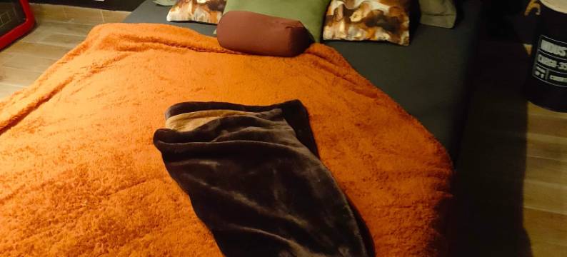 铁之天使(La Cabane Enchanteresse)图片