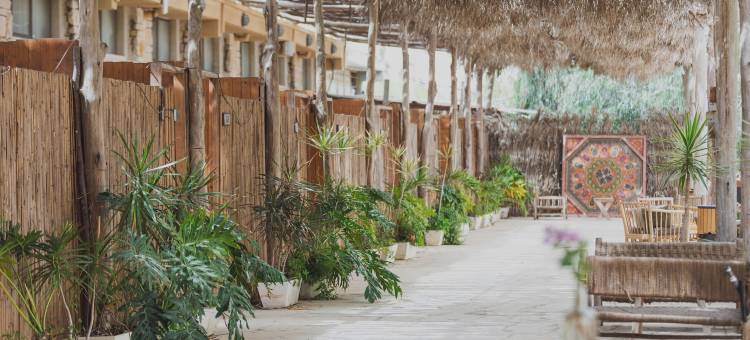 雅各布 米茨佩拉蒙(Jacob Mitzpe Ramon)图片