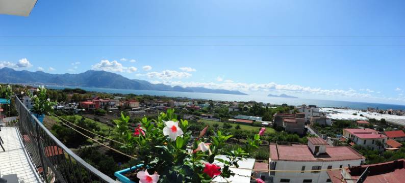 最后楼层酒店(The Last Floor)图片