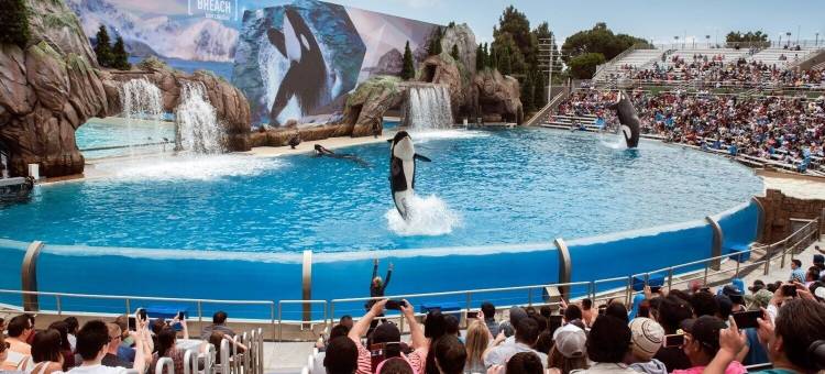 码头南方度假村 - 万豪傲途格精选酒店(Pier South Resort, Autograph Collection)图片