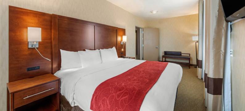 洛杉矶工业城附近舒适套房酒店(Comfort Suites Near City of Industry - Los Angeles)图片