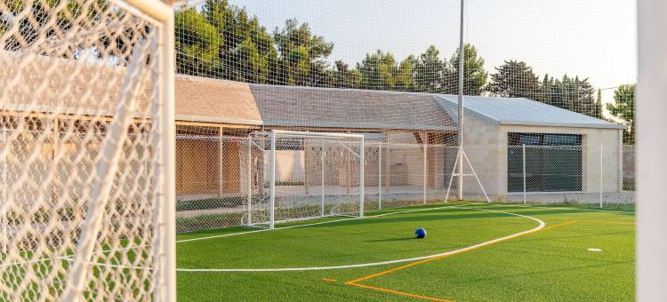 卡辛安南德(Casin Anand)图片