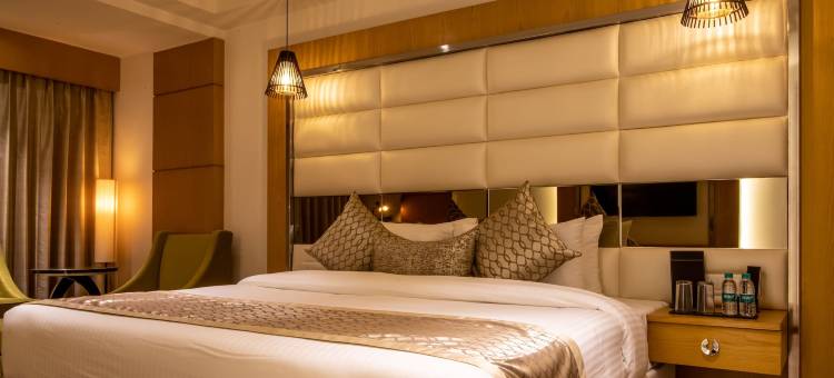 The Pristine酒店坎普尔(The Pristine Hotel Kanpur)图片