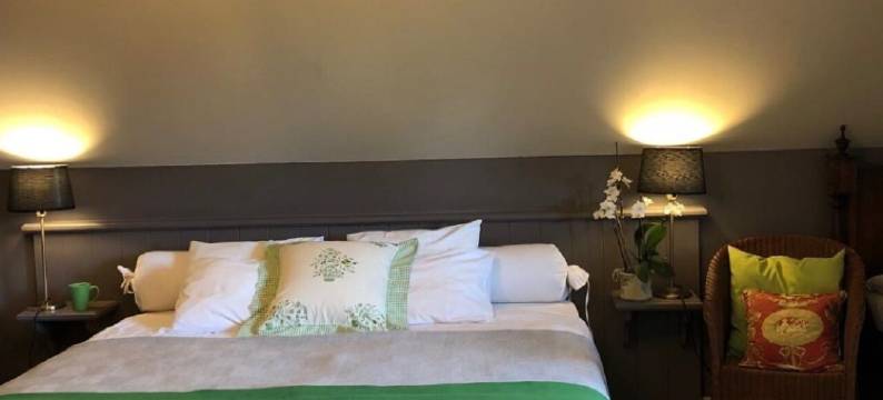 和特维尔特夫住宿加早餐旅馆(B&B Het Welthof)图片