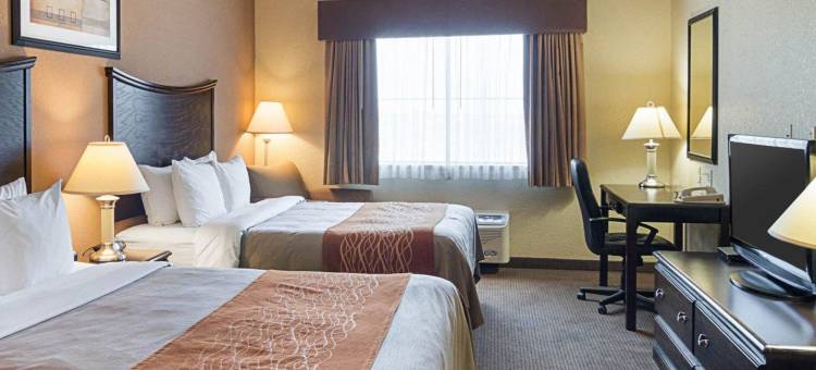 舒适酒店(Comfort Inn I-20 Midland Stanton)图片