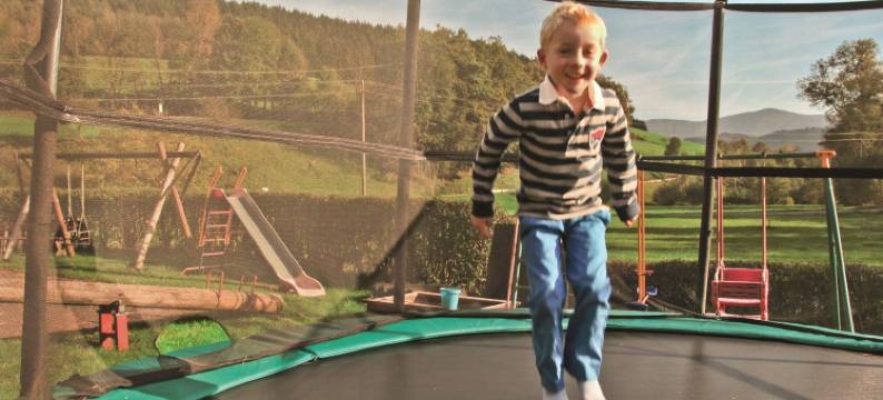 佩尔兹老磨坊乡村旅馆(Landgasthof Adler Pelzmühle)图片