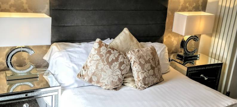 意外珍宝之屋(Serendipity House)图片