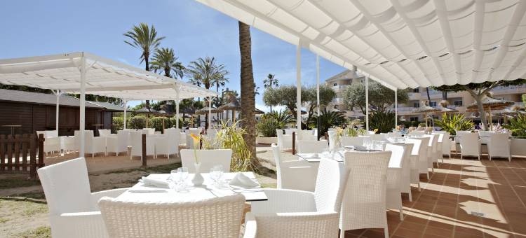 阿尔库迪亚港集团酒店(Grupotel Port d´Alcudia)图片