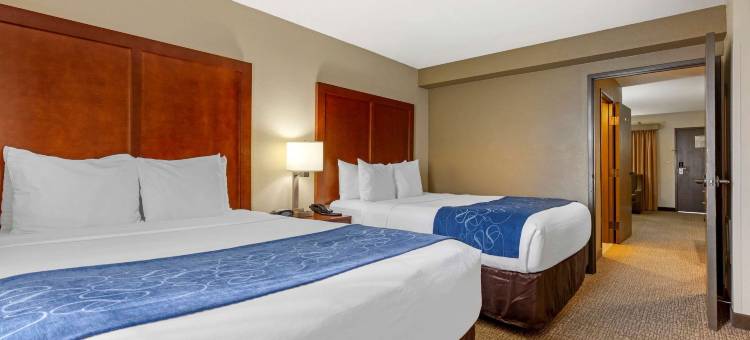 舒适套房酒店-弗雷德里克斯堡南(Comfort Suites Fredericksburg South)图片