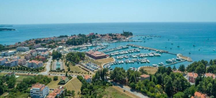 诺维格勒的别墅，带私人泳池和海滩(Villa in Novigrad with Private Pool and Beach)图片