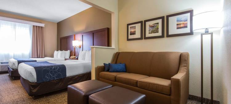 舒适套房酒店罗切斯特亨利埃塔大学区(Comfort Suites Rochester Henrietta University Area)图片