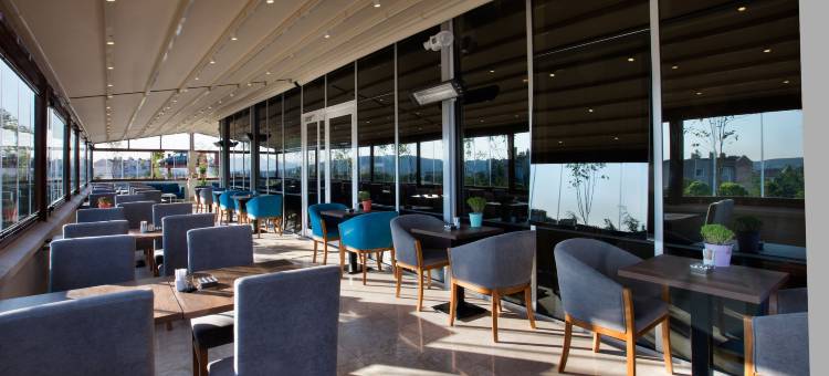 希尔顿花园旅馆-科贾埃利瑟克尔皮纳(Hilton Garden Inn Kocaeli Sekerpinar)图片