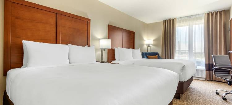 舒适套房酒店(Comfort Inn & Suites)图片