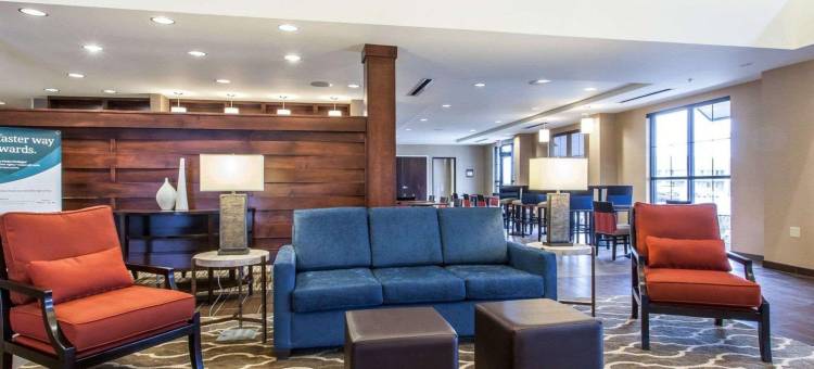 舒适套房酒店-扬斯敦北(Comfort Suites-Youngstown North)图片