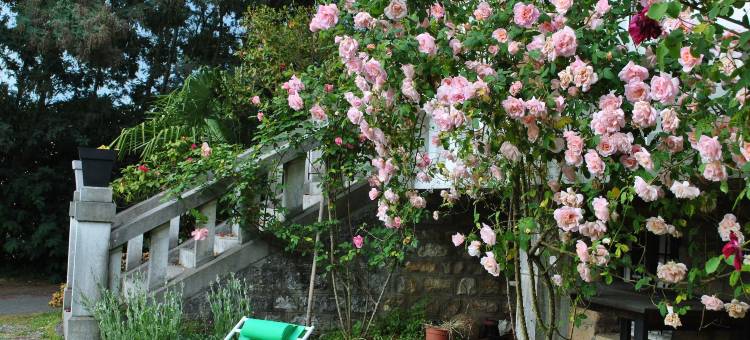 霍特比斯别墅(Villa Hortebise)图片