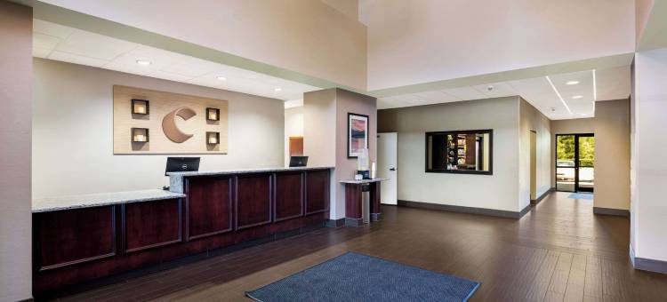 北湖舒适套房酒店(Comfort Suites Northlake)图片