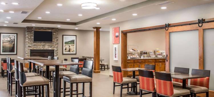 哈特维尔北坎顿舒适套房酒店(Comfort Suites Hartville-North Canton)图片